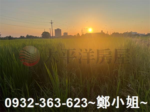桃園農地-2