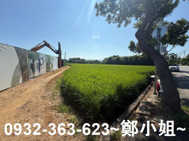 八德農地-6