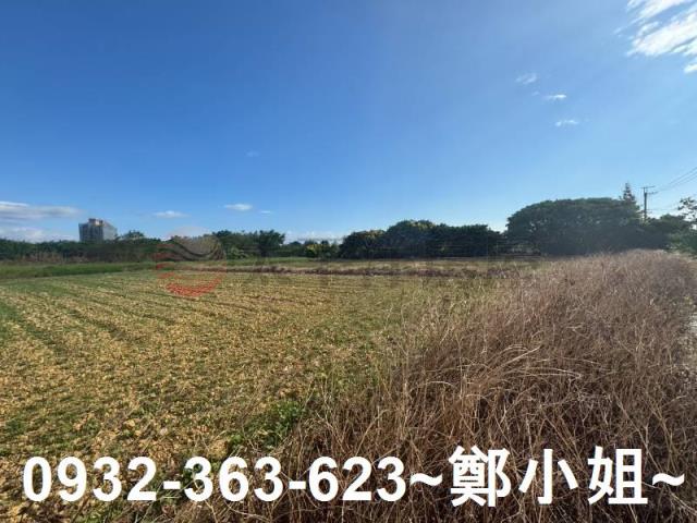 楊梅農地-4