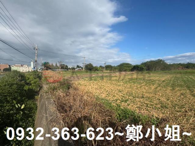 楊梅農地-5