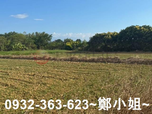 楊梅農地-6