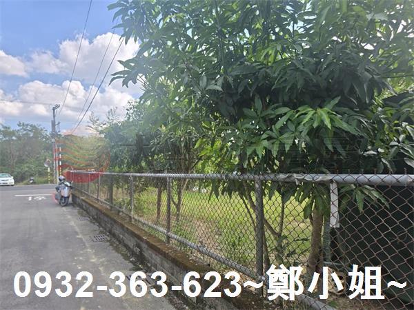 桃園農地-0