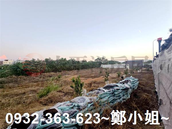 桃園農地-10