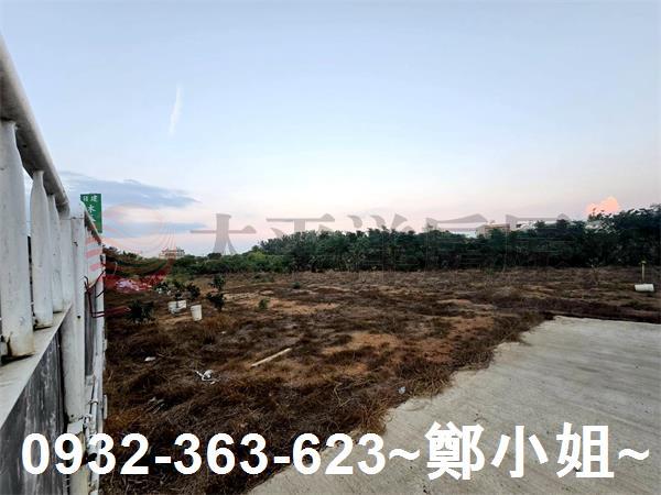 桃園農地-11