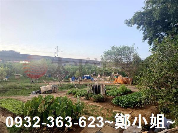 桃園農地-4