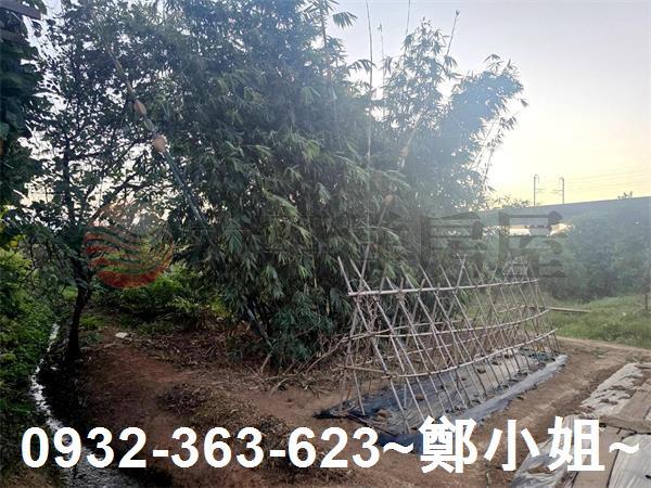 桃園農地-5