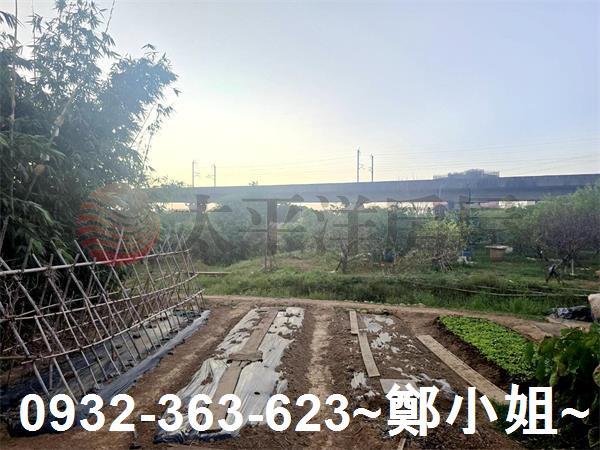 桃園農地-6