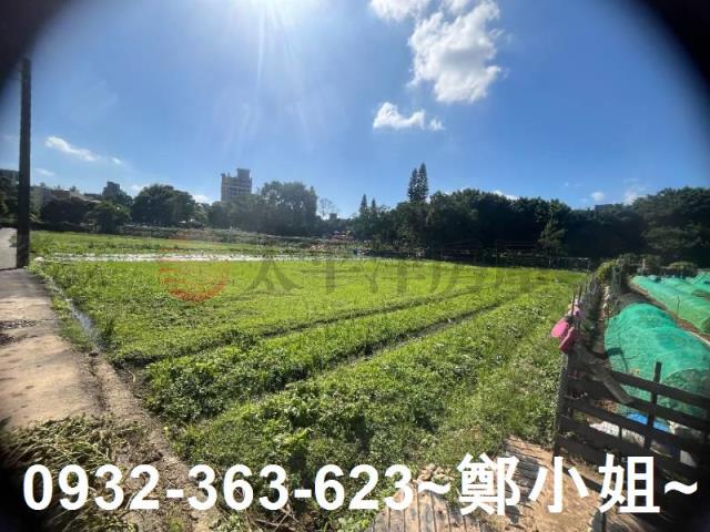 中壢農地-9