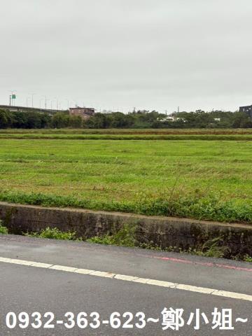 桃園觀音農地-1