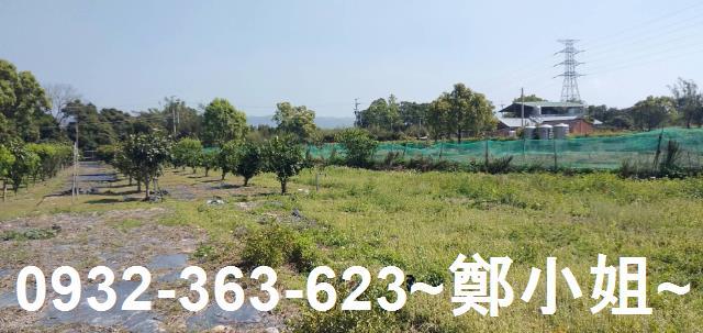 苗栗通霄農地-13