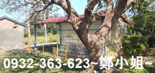 苗栗通霄農地-2