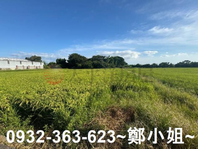 桃園新屋農地-1