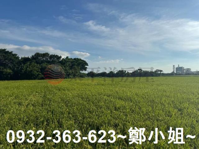 桃園新屋農地-2