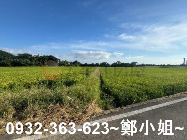 桃園新屋農地-8