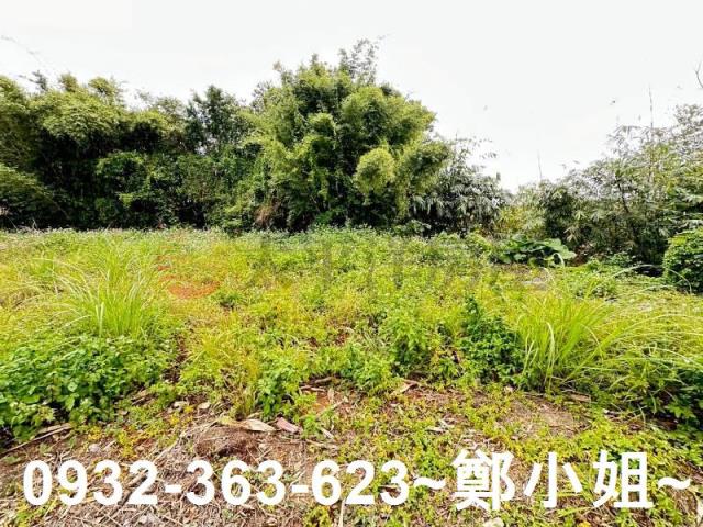 桃園八德農地-1