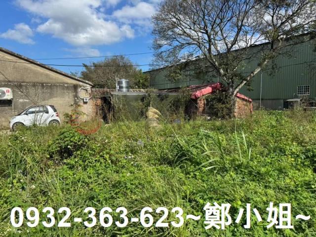 桃園大園農地-1