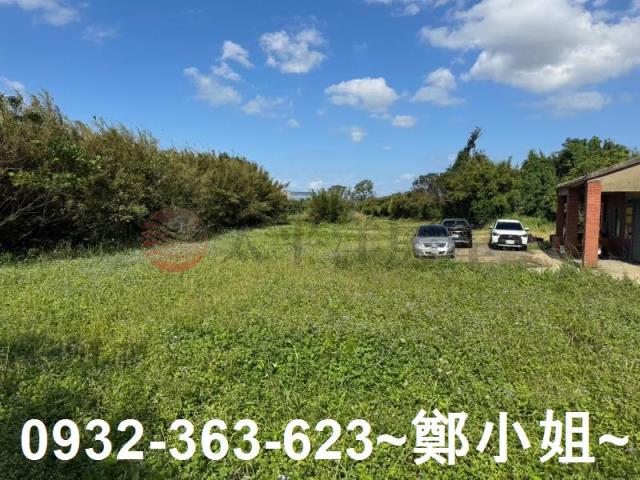 桃園大園農地-4