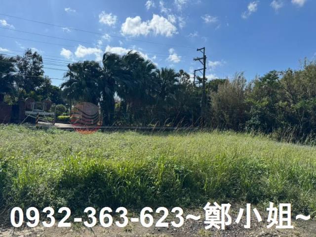 桃園大園農地-8