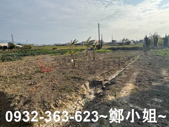 苗栗苑裡農地-10
