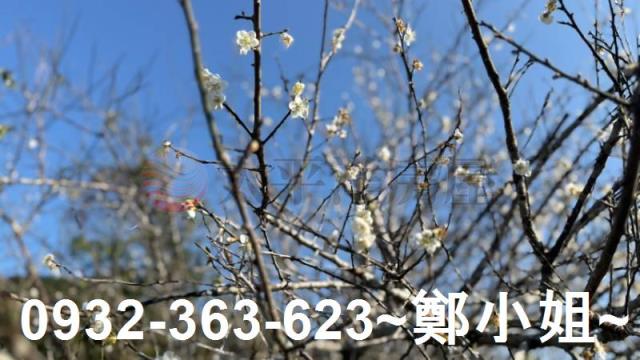 桃園大溪農地-3