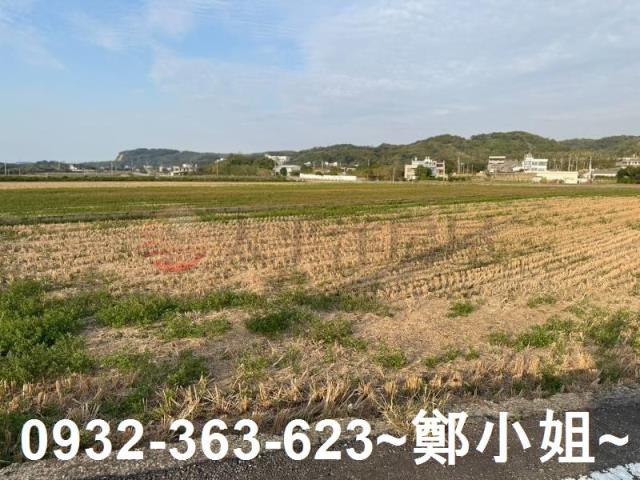 苑裡農地-14