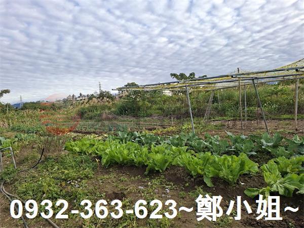 桃園大溪農地-5