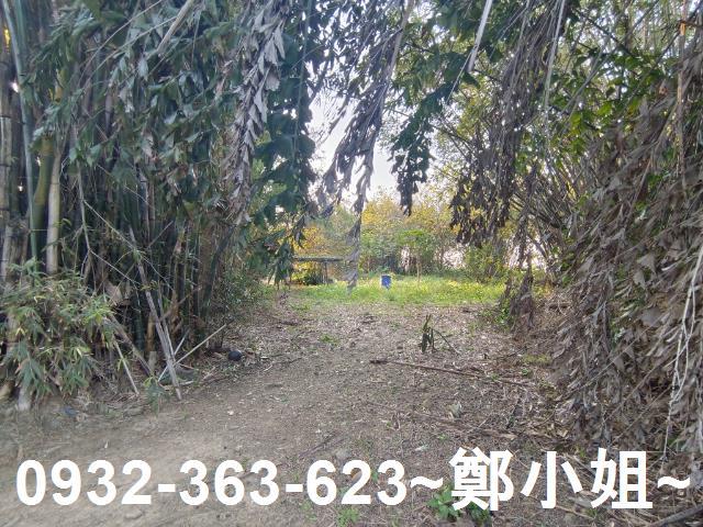 桃園桃園區農地-4