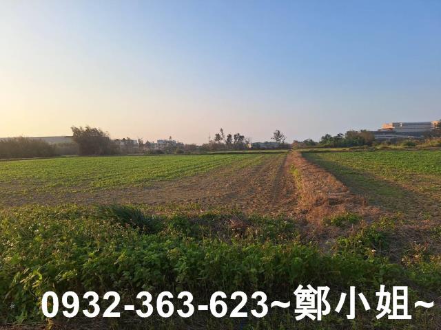 桃園觀音農地-9