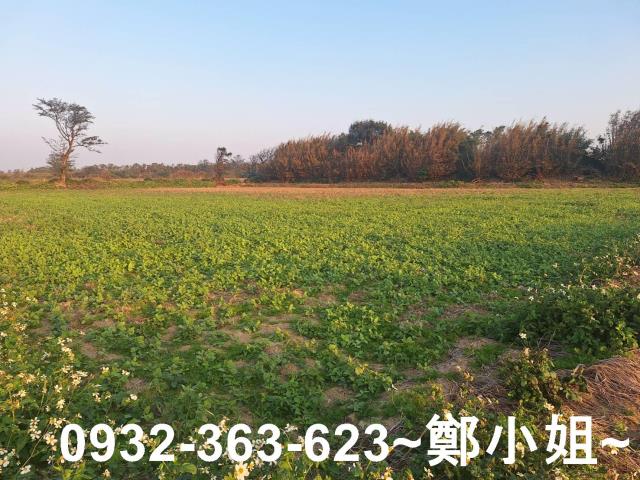 桃園觀音農地-0