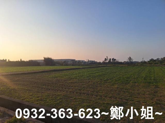 桃園觀音農地-2