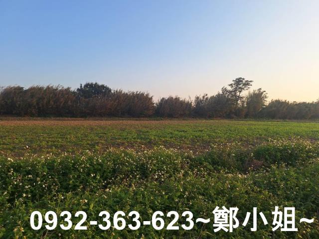 桃園觀音農地-4