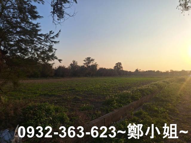 桃園觀音農地-6