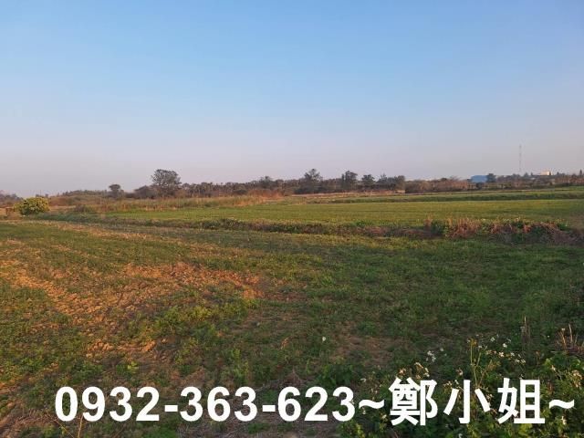 桃園觀音農地-7