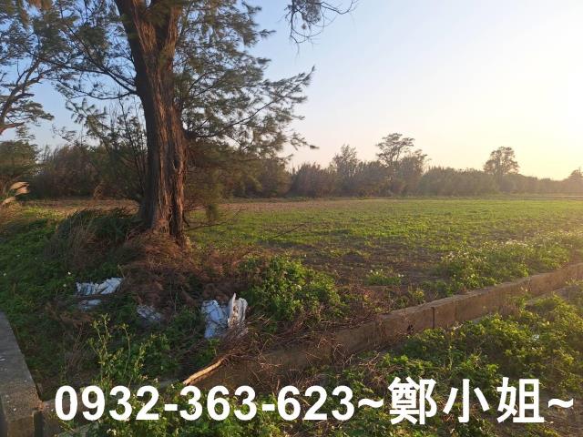 桃園觀音農地-8