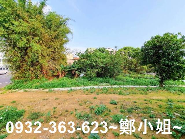 桃園平鎮農地-11