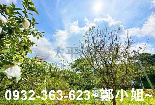 桃園復興農地-9