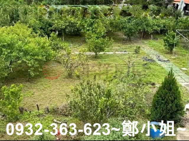桃園復興農地-11