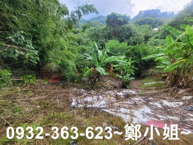 桃園復興農地-3