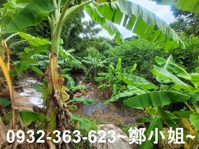 桃園復興農地-4