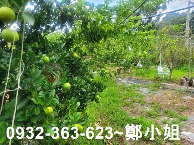 桃園復興農地-5