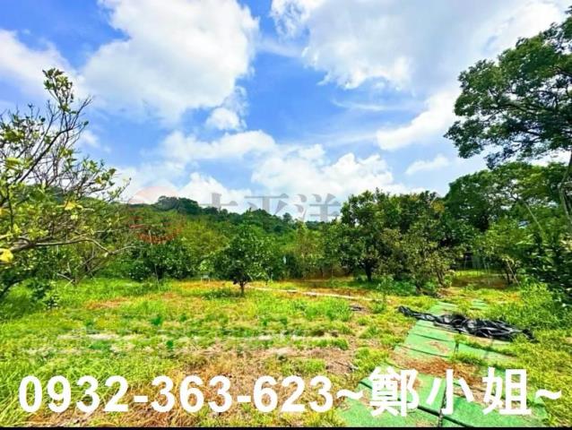 桃園復興農地-8