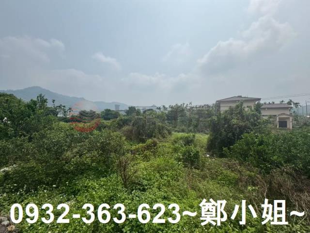 南投竹山農地-10