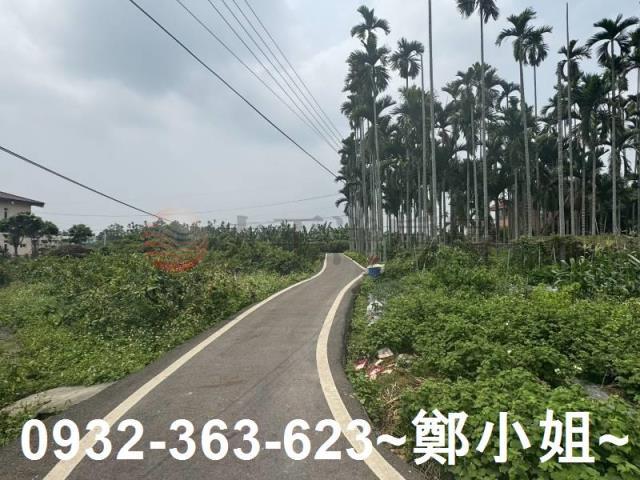 南投竹山農地-0