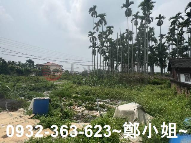 南投竹山農地-1