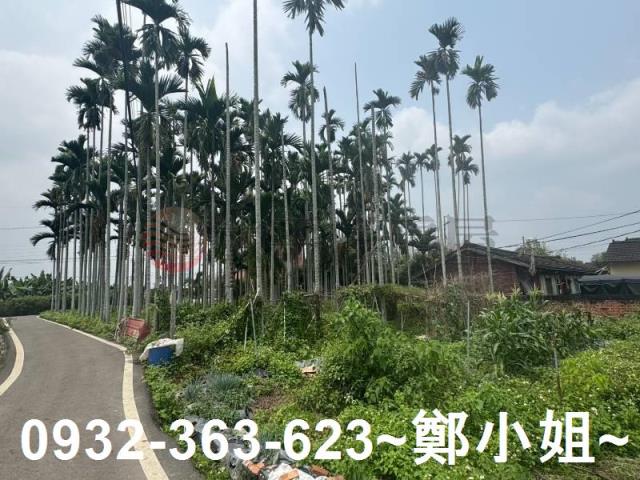 南投竹山農地-2
