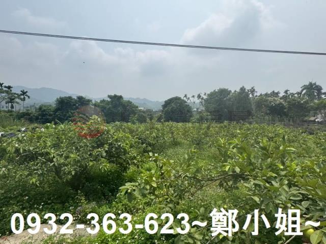 南投竹山農地-4