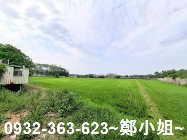 蘆竹農地-5