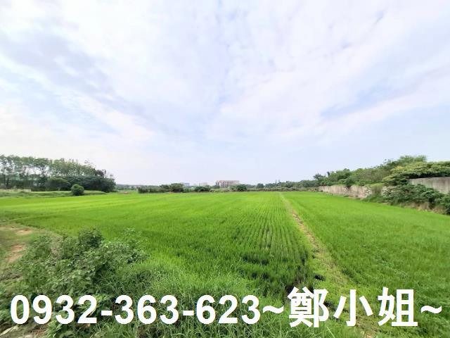 蘆竹農地-7