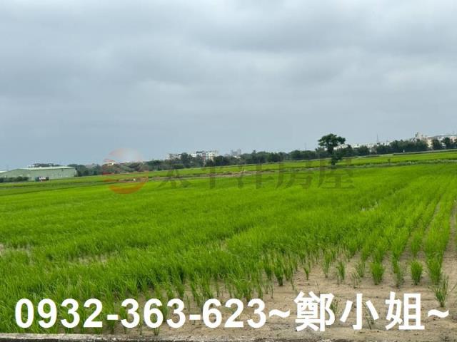 新屋農地-12