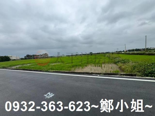 新屋農地-14